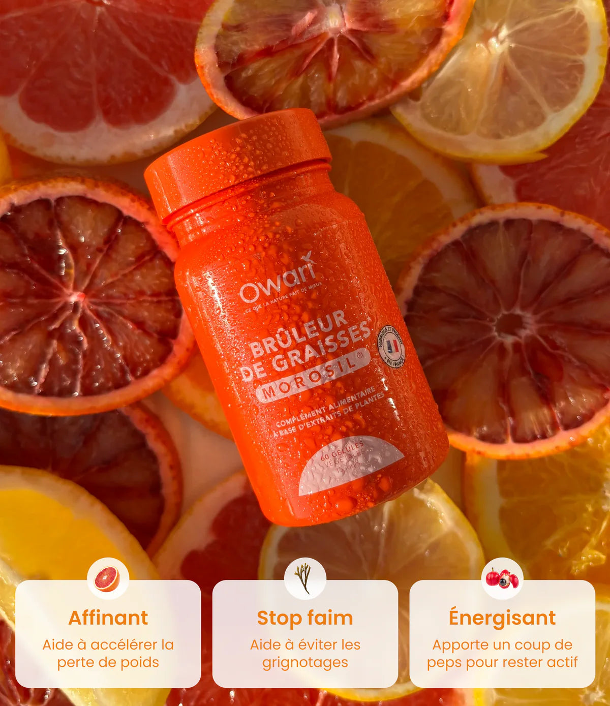 Brûleur de graisses Morosil®