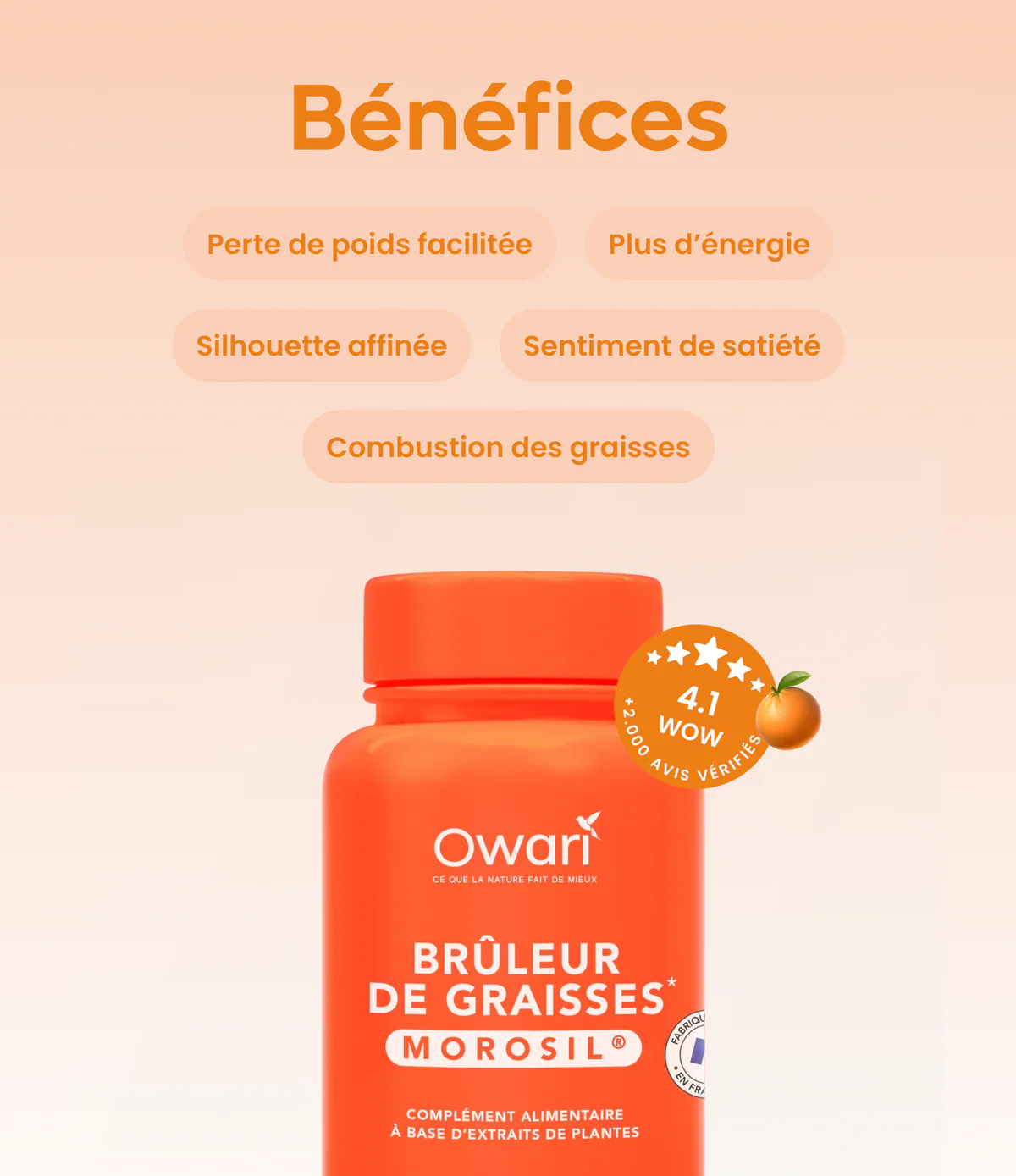 Brûleur de graisses Morosil®